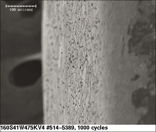 1210 size pure tin 250x magnification 1000 Temperature Cycles