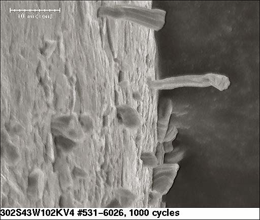 1812 size pure tin 2500x magnification 1000 Temperature Cycles